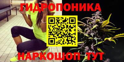 2c-b Заводоуковск