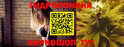 2c-b Заводоуковск