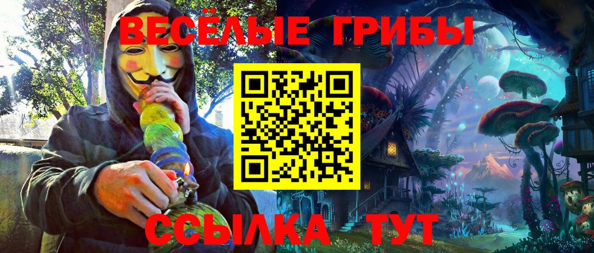 Якутск  Псилоцибиновые грибы Psilocybe  Вход с VPN  Галлюциногенные грибы Cubensis 